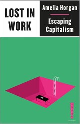 Lost in Work - Amelia Horgan - 9780745340913