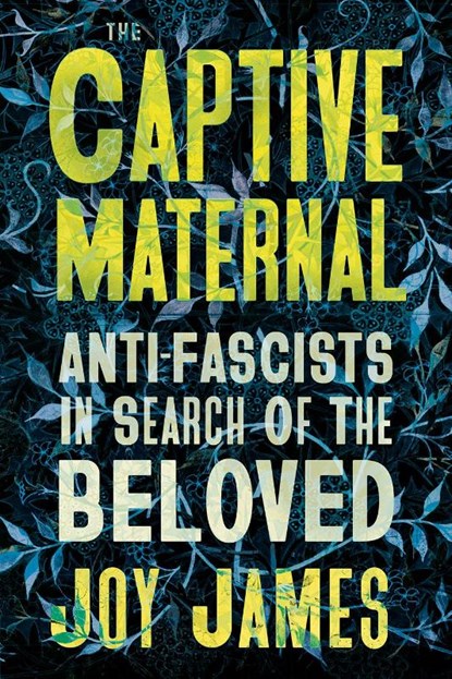 The Captive Maternal, Joy James - Paperback - 9780745349923