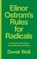 Elinor Ostrom's Rules for Radicals, Derek Wall - Paperback - 9780745399355
