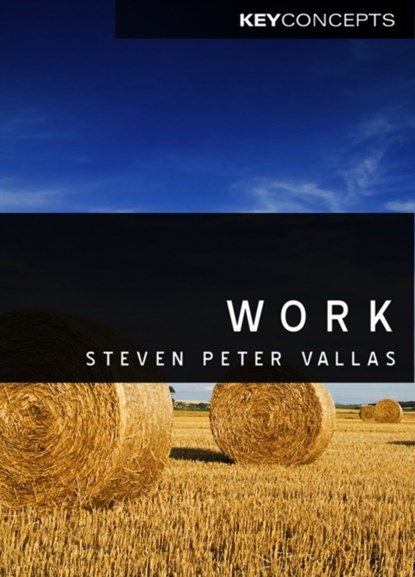 Work, Steven (Northeastern University) Vallas - Paperback - 9780745646794