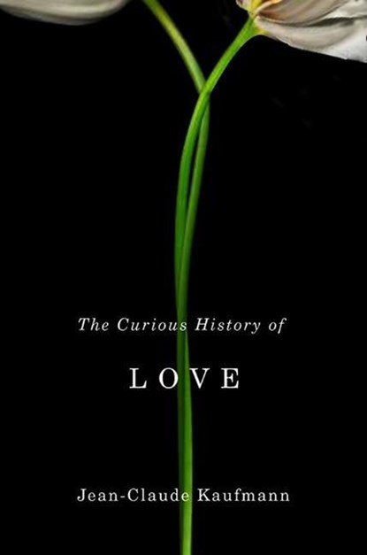 The Curious History of Love, Jean-Claude Kaufmann - Paperback - 9780745651545