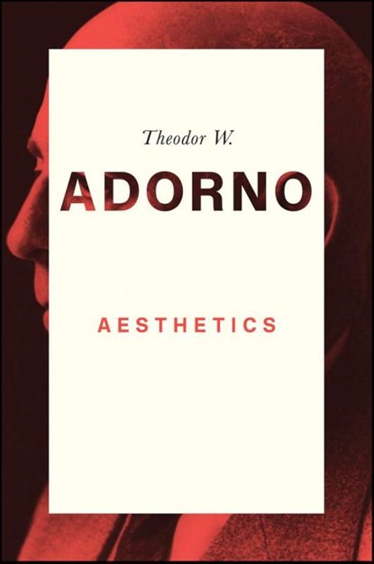 Aesthetics, Theodor W. (Frankfurt School) Adorno - Paperback - 9780745679402