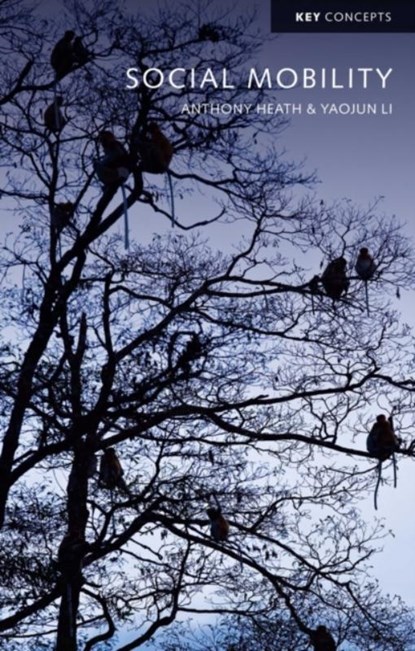 Social Mobility, Anthony Heath ; Yaojun Li - Paperback - 9780745683072