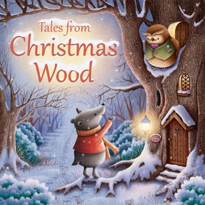 Tales from Christmas Wood, Suzy Senior - Paperback - 9780745965468