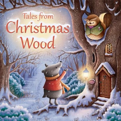 Tales from Christmas Wood, Suzy Senior - Paperback - 9780745965468