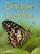 Caterpillars and Butterflies, Stephanie Turnbull - Gebonden - 9780746074473
