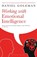 Working with Emotional Intelligence, Daniel Goleman - Paperback - 9780747543848