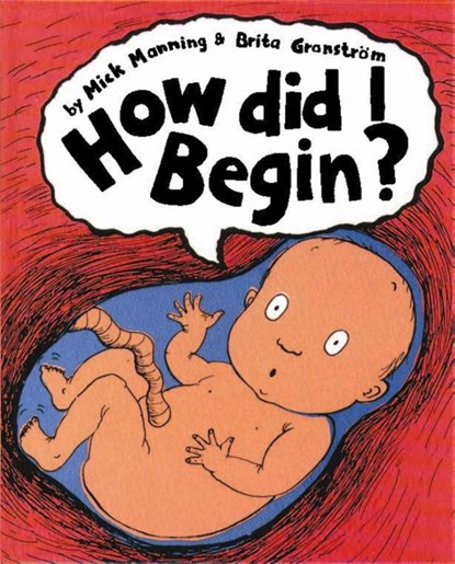 How Did I Begin?, Mick Manning - Paperback - 9780749656614