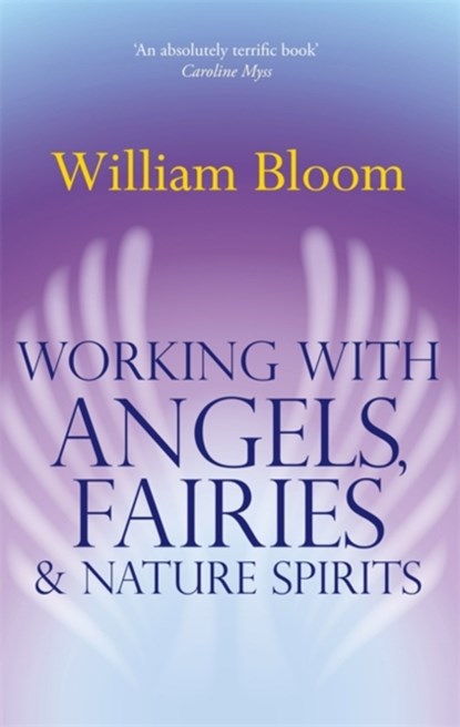 Working With Angels, Fairies And Nature Spirits, Dr. William Bloom - Paperback - 9780749941161