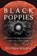Black Poppies, Stephen Bourne - Paperback - 9780750990820