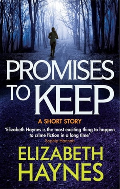 Promises to Keep, Elizabeth Haynes - Ebook - 9780751555738