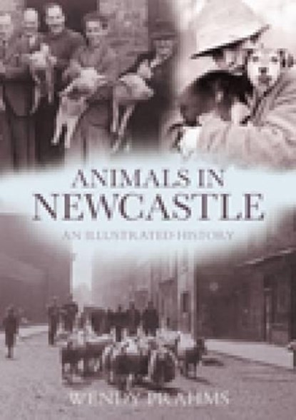 Animals in Newcastle, Wendy Prahms - Paperback - 9780752447261