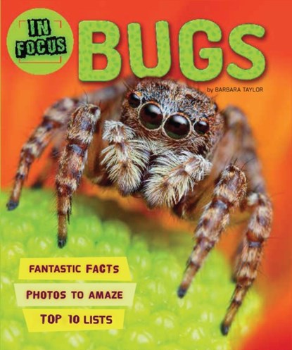 In Focus: Bugs, Kingfisher - Paperback - 9780753441091