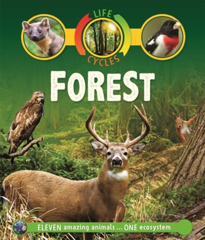 Life Cycles: Forest, Sean Callery - Paperback - 9780753442852