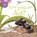 Are You An Ant?, Judy Allen - Paperback - 9780753458037