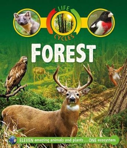 LIFE CYCLES FOREST, SEAN CALLERY - Paperback - 9780753474235