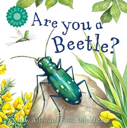 Are You a Beetle?, Judy Allen - Paperback - 9780753474914
