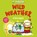 Basher Science: Wild Weather: A hot topic!, Tom Jackson ; Dan Green - Paperback - 9780753481066