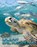 Kingfisher Ocean Encyclopedia, Kingfisher - Gebonden - 9780753481486