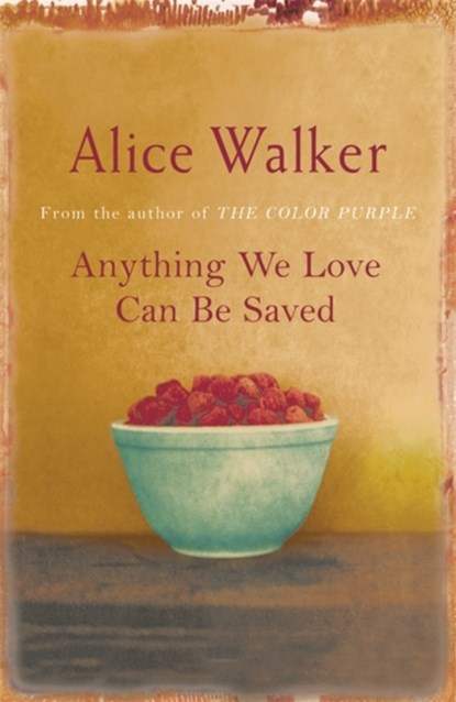 Anything We Love Can Be Saved, Alice Walker - Paperback - 9780753819548