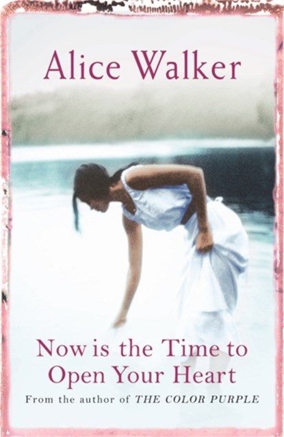 Now is the Time to Open Your Heart, Alice Walker - Paperback - 9780753819579