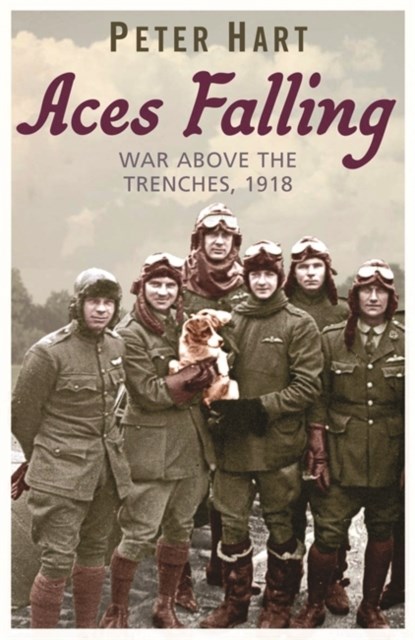 Aces Falling, Peter Hart - Paperback - 9780753824078