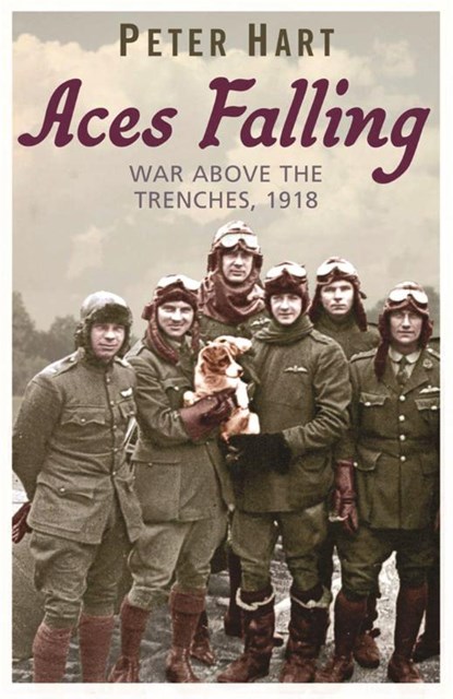 Aces Falling, Peter Hart - Paperback - 9780753824078