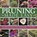 Pruning Made Easy, Mchoy Peter - Gebonden - 9780754828716