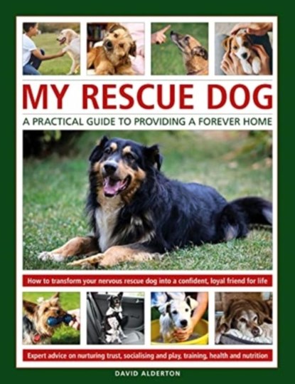 My Rescue Dog: A practical guide to providing a forever home, David Alderton - Gebonden - 9780754835479