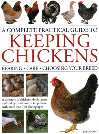 Keeping Chickens, Complete Practical Guide to, Fred Hams - Gebonden - 9780754835653