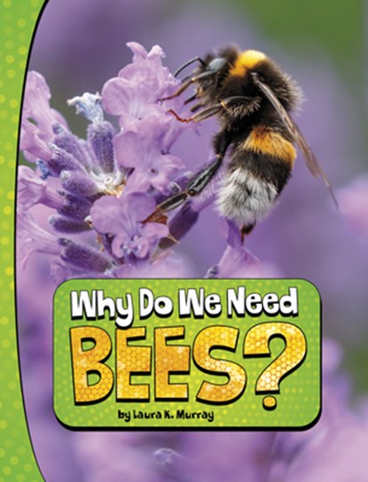 Why Do We Need Bees?, Laura K. Murray - Paperback - 9780756575144