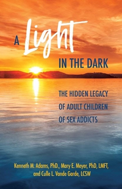 A Light in the Dark, Kenneth M. Adams ; Mary E. Meyer ; Culle L. Vande Garde - Paperback - 9780757324642
