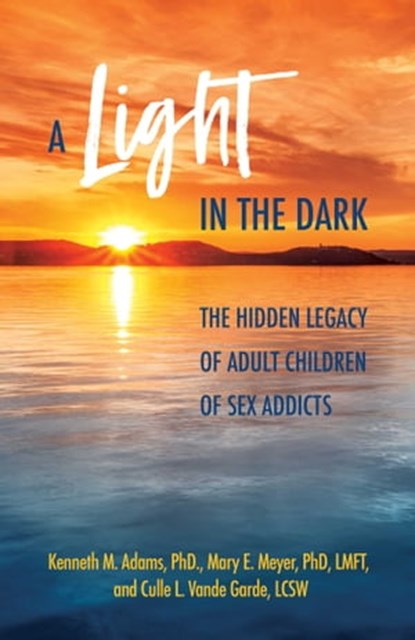 A Light in the Dark, Kenneth M. Adams, Ph.D. ; Mary E. Meyer, Ph.D., LMFT ; Culle L. Vande Garde, LCSW - Ebook - 9780757324659
