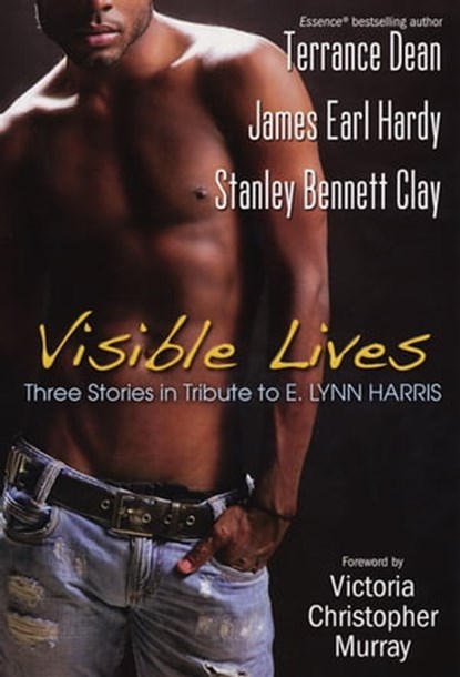 Visible Lives:, Stanley Bennett Clay ; Terrance Dean ; James Earl Hardy - Ebook - 9780758260444