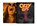 Ozzy at 75, Daniel Bukszpan - Gebonden - 9780760377437