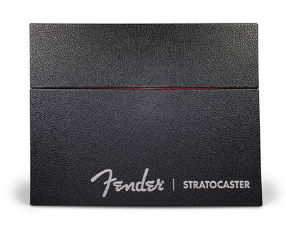 Fender Stratocaster 70 Years Deluxe Box Edition, Dave Hunter - Gebonden - 9780760396032