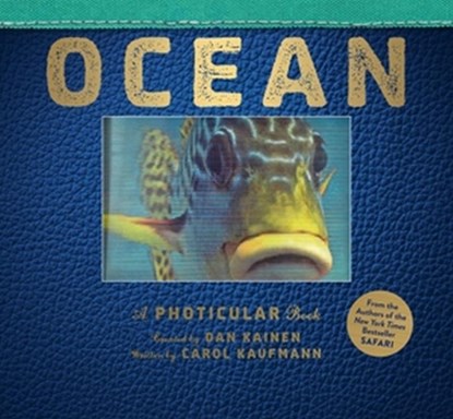 Ocean, Dan Kainen ; Carol Kaufmann - Gebonden Gebonden - 9780761180517