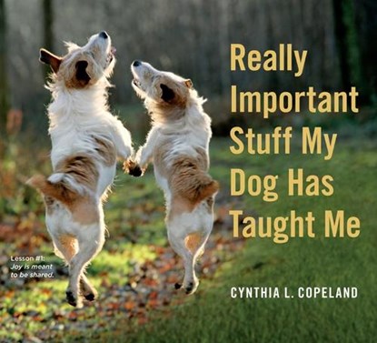 Really Important Stuff My Dog Has Taught Me, Cynthia L. Copeland - Paperback - 9780761181798