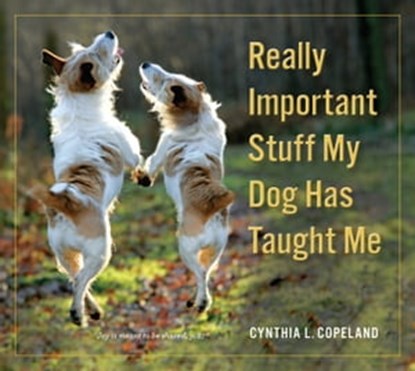 Really Important Stuff My Dog Has Taught Me, Cynthia L. Copeland - Ebook - 9780761184096