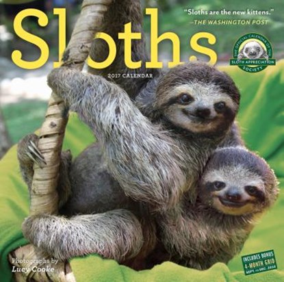Sloths Wall Calendar, COOKE,  Lucy - Paperback - 9780761188001