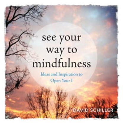 See Your Way to Mindfulness, David Schiller - Ebook - 9780761189725