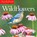 Audubon Wildflowers 2017 Calendar, National Audubon Society - Paperback - 9780761190073