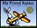 My Friend Rabbit, Eric Rohmann - Gebonden - 9780761315353