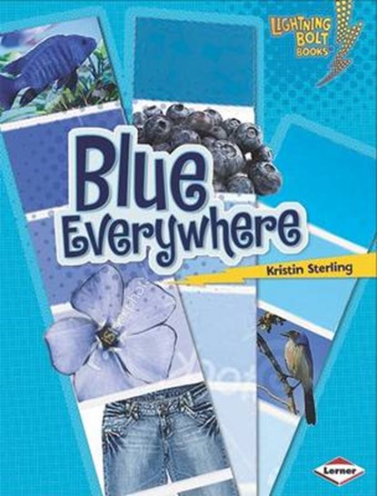 Blue Everywhere, STERLING,  Kristin - Gebonden - 9780761345886