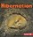 Hibernation, Robin Nelson - Paperback - 9780761356813
