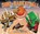 Dino-Basketball, Lisa Wheeler - Gebonden - 9780761363934