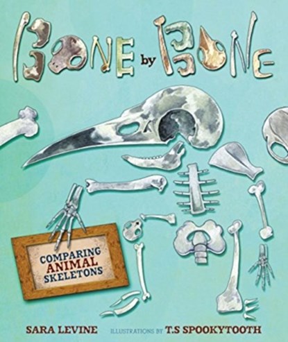Bone by Bone, Sara Levine - Gebonden - 9780761384649