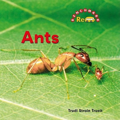 Ants, Trudi Trueit - Gebonden - 9780761439615