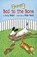 Bad to the Bone, Lucy A. Nolan - Paperback - 9780761458340
