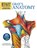 Start Exploring: Gray's Anatomy, Freddy Stark - Paperback - 9780762440733